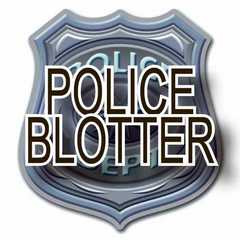 Crime & Fire Log